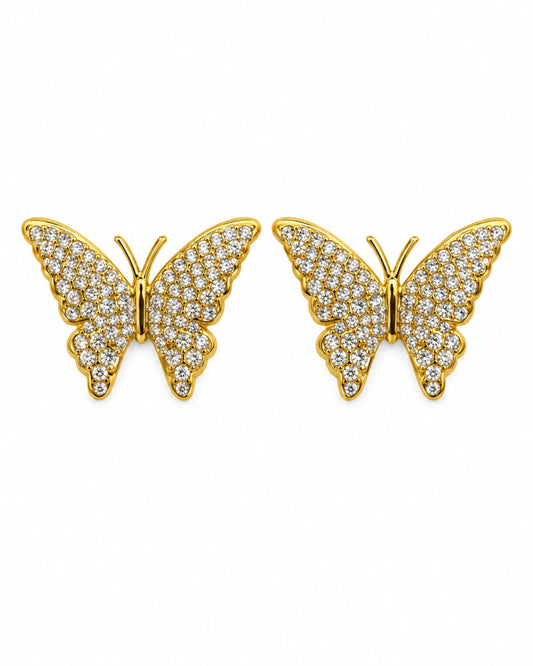 Mariposas Glow